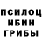 Псилоцибиновые грибы Magic Shrooms ghaia alshehri