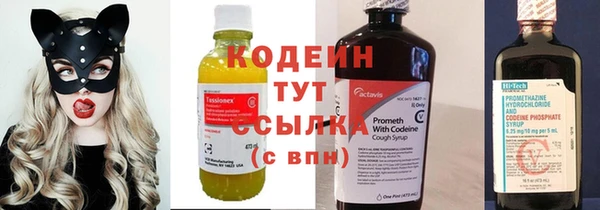 прущие грибы Кострома